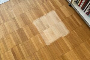 650012267_1524987629636961_5748428558444536418_n