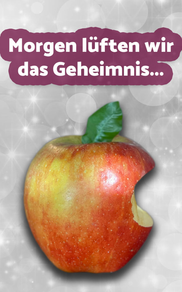 wsp-adventskalender-tuerchen-04-2021